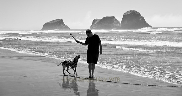 IMG_1845_1