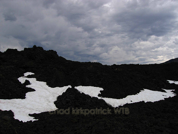 Nature224WTB_107