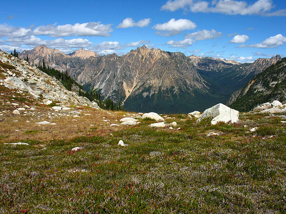 Nature183WTB_031