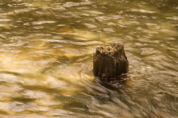 Nature166IMG_8377