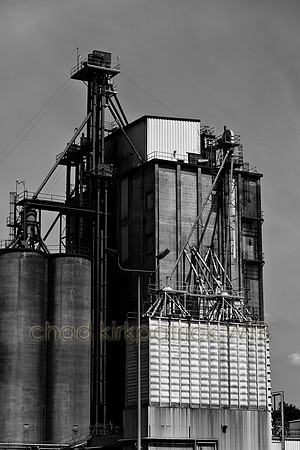 IMG_9269_4