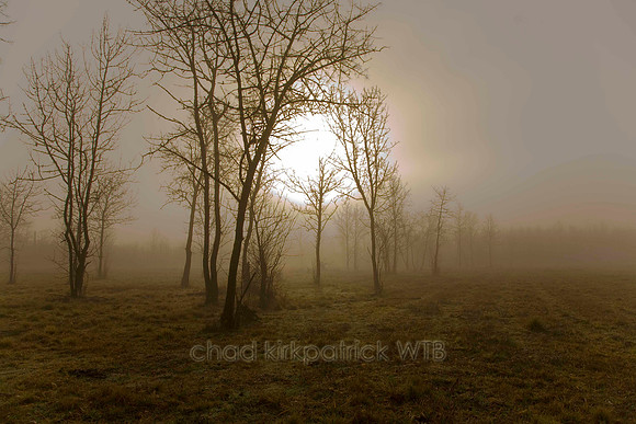 Nature052IMG_2772_1