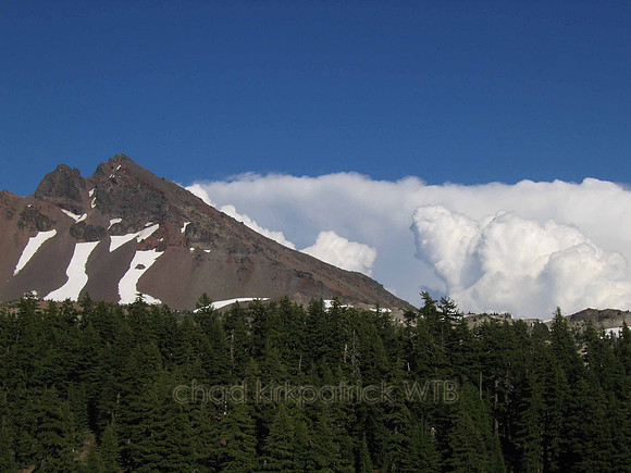 Nature264WTB_191