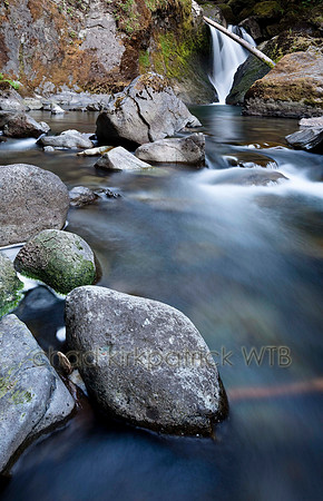 IMG_1168_6