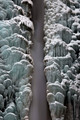 IMG_1299_2