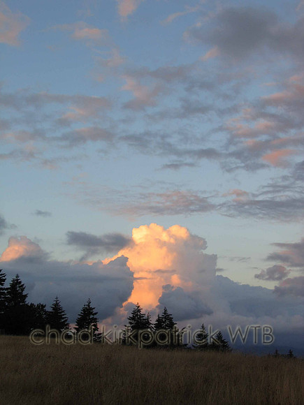 Nature254IMG_2126