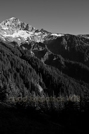 IMG_7994_2