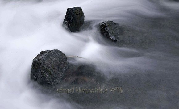 Nature005IMG_6628_1