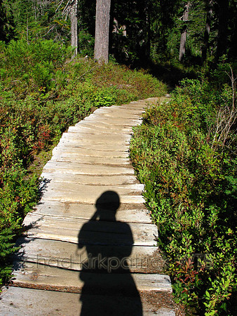 Nature188WTB_041