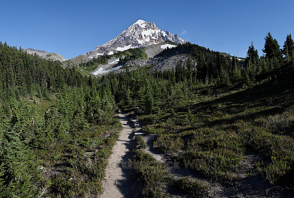 IMG_4513to7_Panorama1