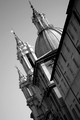 IMG_6706_3