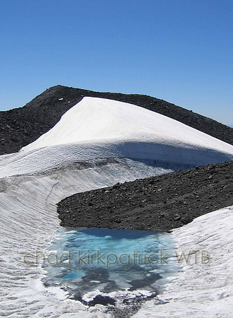 Nature281WTB_216