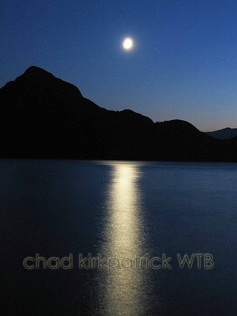 Nature288WTB_224