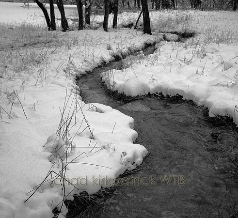 Nature019IMG_4314_5