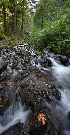 IMG_0543and5_Panorama2_16bit.jpg