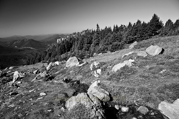 IMG_7496_4