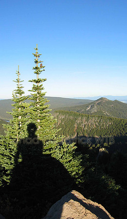 Nature277WTB_210