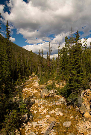 Nature150IMG_7406