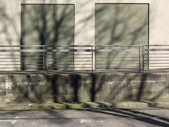 20120308-IMG_0218