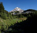 IMG_4503to5_Panorama1