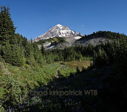 IMG_4503to5_Panorama1