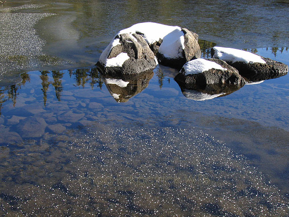 Nature243WTB_160