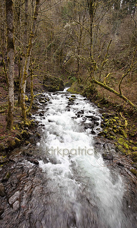 IMG_0860_1.jpg