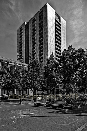 IMG_8036_3